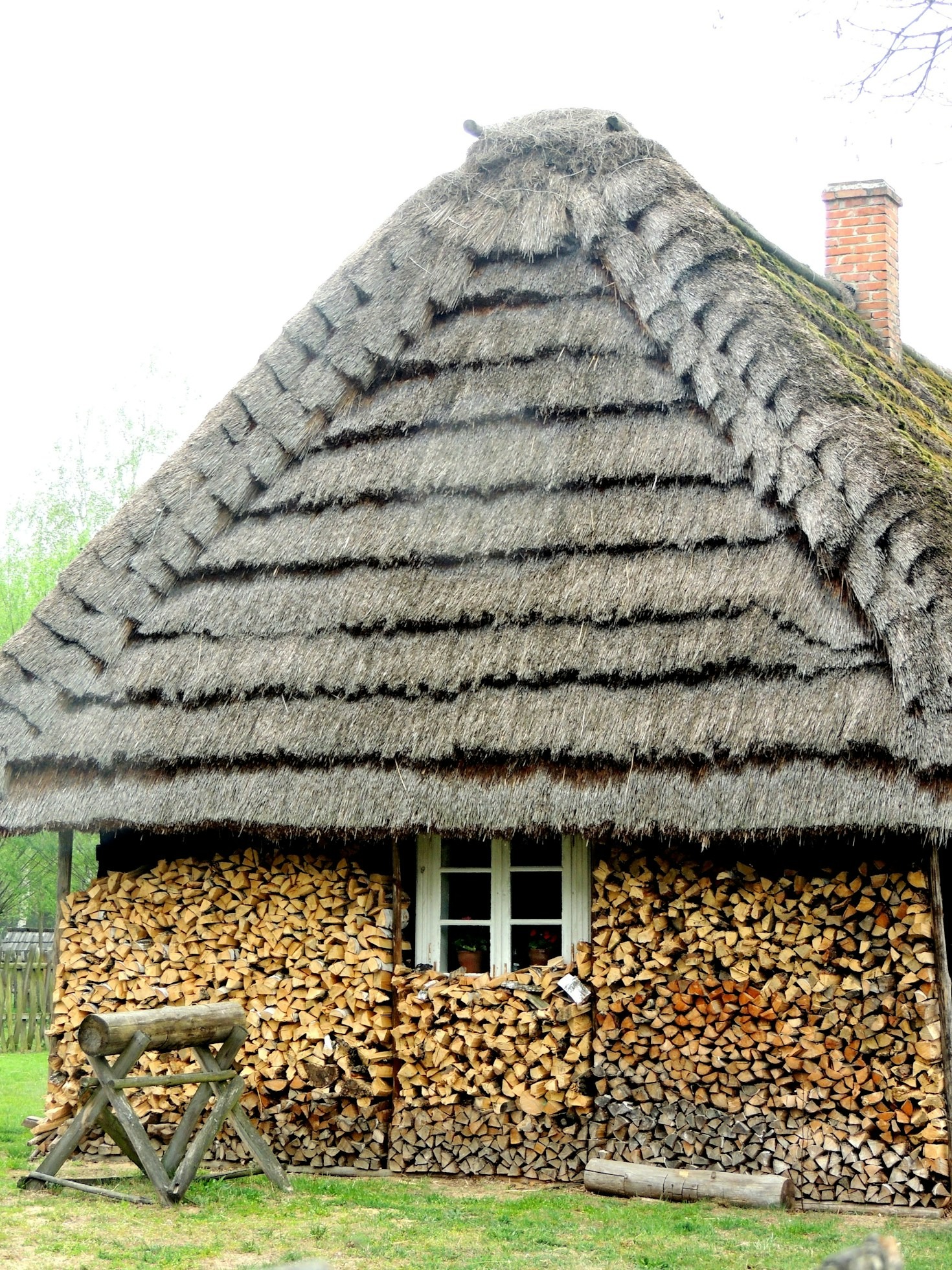 Embracing the Quiet: Life in the Backcountry